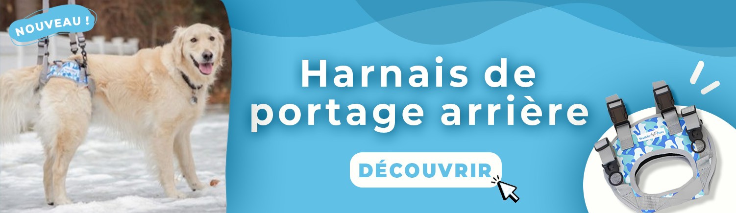 harnais arrière